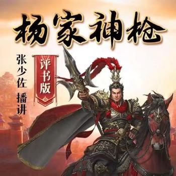 张少佐评书：杨家神枪有声小说