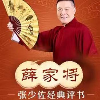 张少佐评书：薛家将有声小说