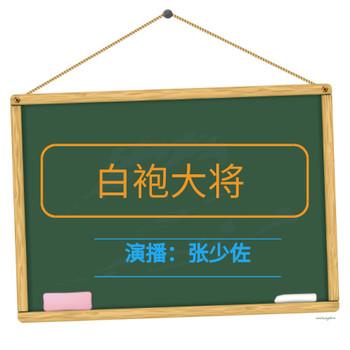 张少佐评书：白袍大将有声小说