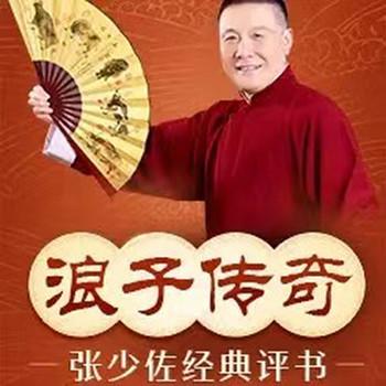 张少佐评书：浪子传奇有声小说