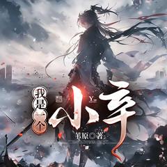 我是一个小卒