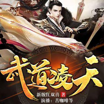 武道凌天(多人剧)