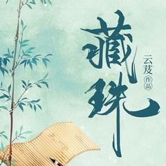 藏珠