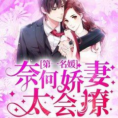 第一名媛，奈何娇妻太会撩(多人剧)