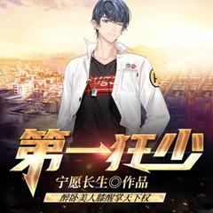 第一狂少（盖世龙少）