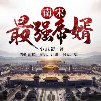 南宋最强帝婿(多人剧)