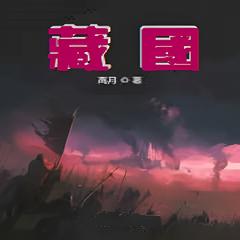 藏国|历史穿越·两晋隋唐|高月/著