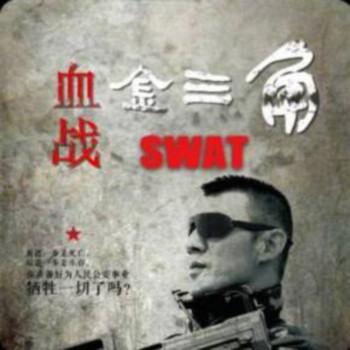 血战金三角有声小说